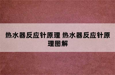 热水器反应针原理 热水器反应针原理图解